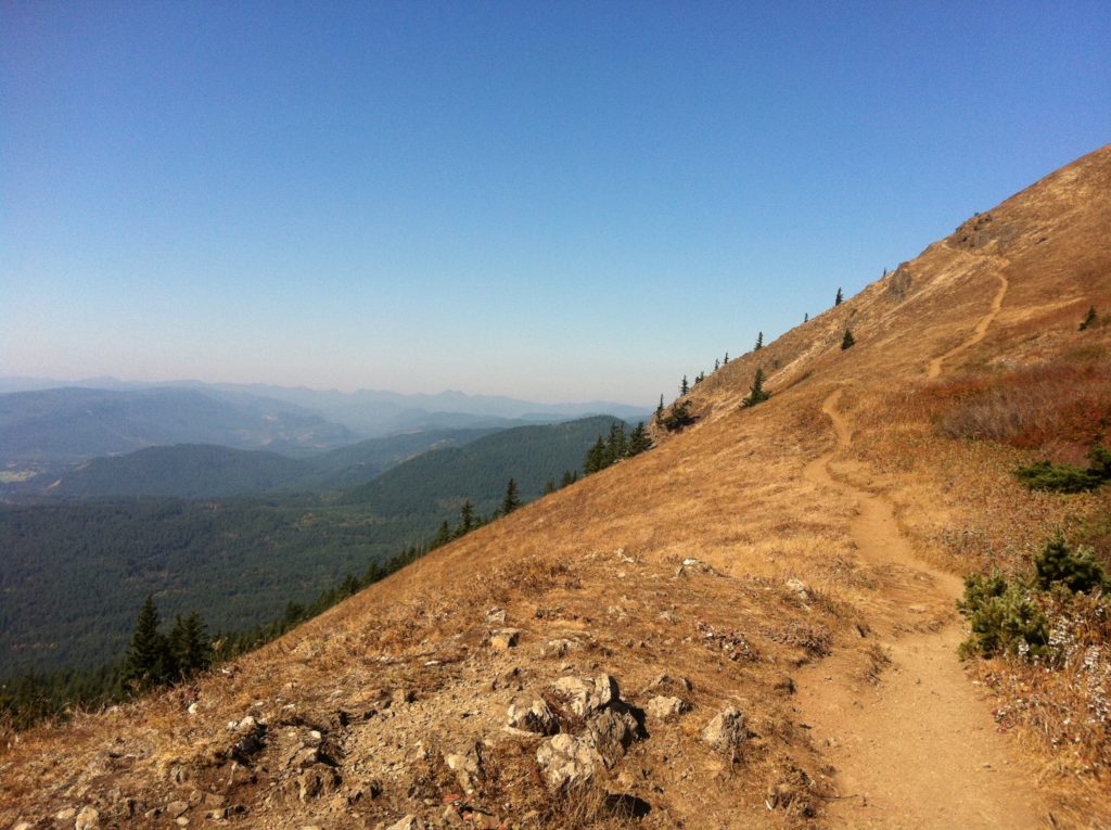 Dog Mountain Hike · Wandering Mounts